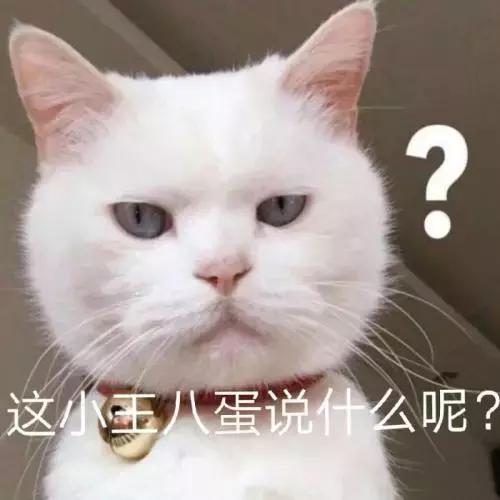 有没有办法让猫咪拉屎不臭,猫咪嘴臭是怎么回事