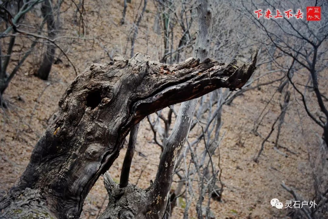 灵石登山运动,灵石登山步道