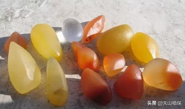 全国各地石头种类,全国各地的石头介绍