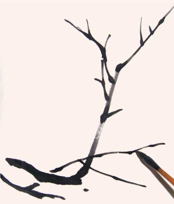 国画教程零基础入门树的画法,国画花卉线稿教程大全