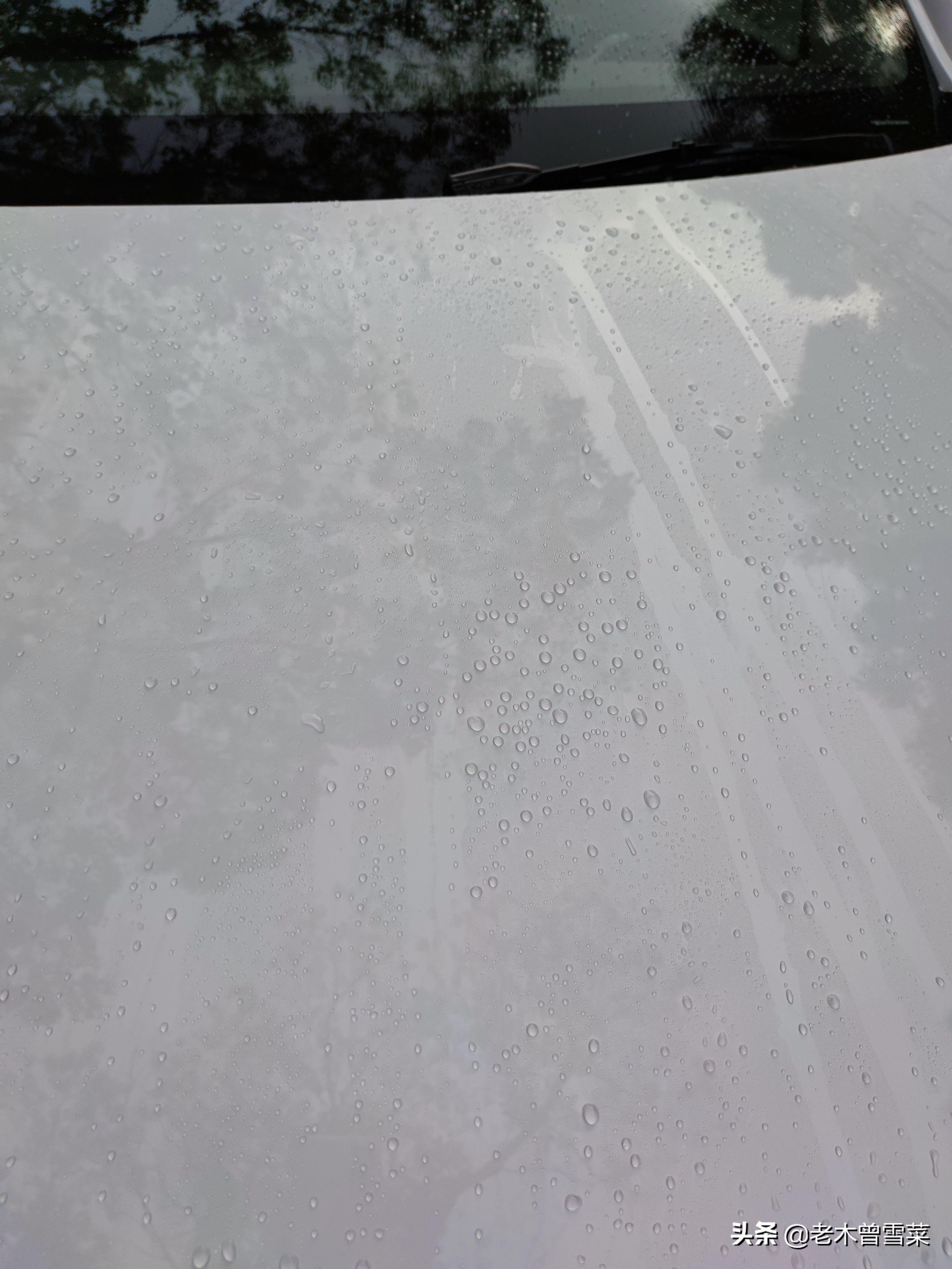 用车推荐,用车推荐必备物品