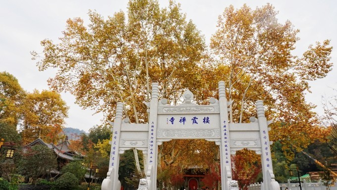 杭州西湖乌镇苏州南京上海攻略,天青色等烟雨乌镇旅游