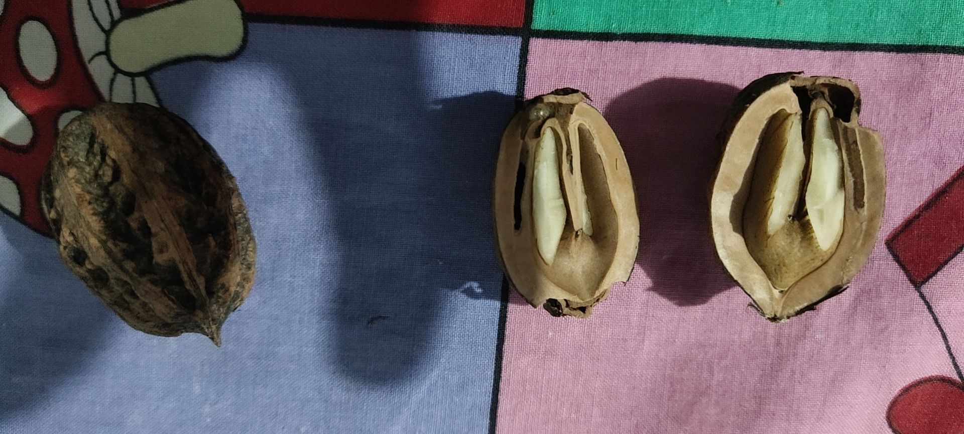 开口笑松子大颗粒,开口笑榛子和松子