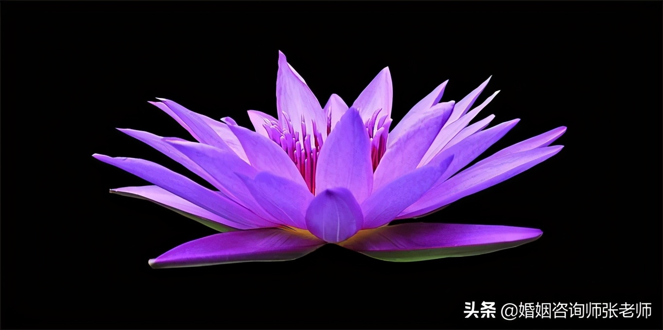 怎么挽救破裂的婚姻？千万不要死缠烂打，做到这六点胜过千言万语