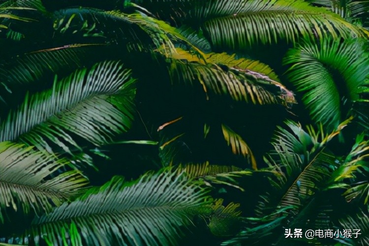 抖音封号申诉失败怎么办,抖音封号申诉不成功怎么办