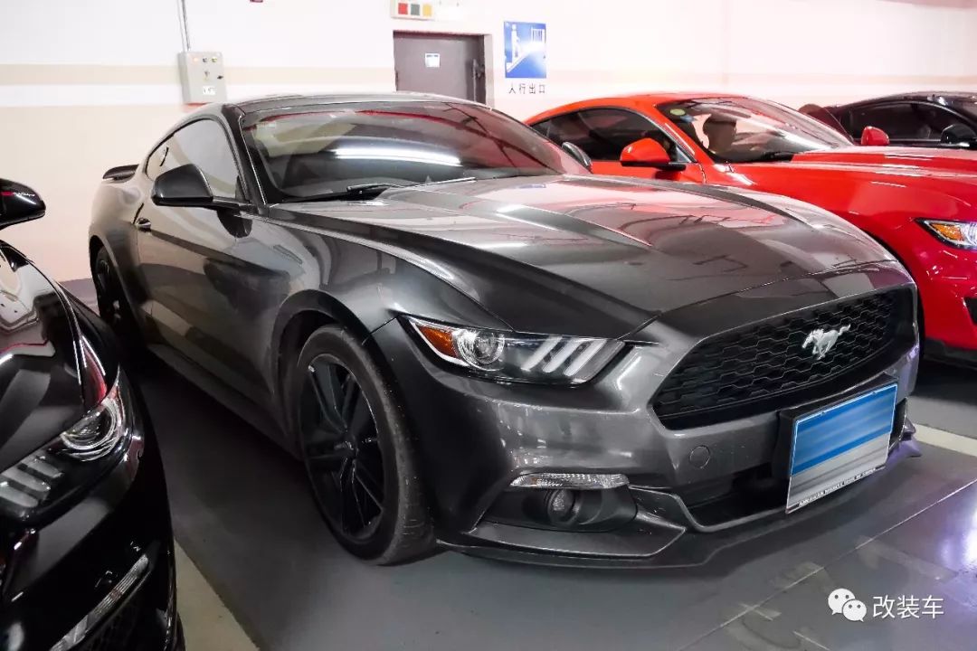 福特mustang杭州,杭州福特野马车友会