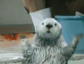 中国最低调的选手,中国最低调的男配角