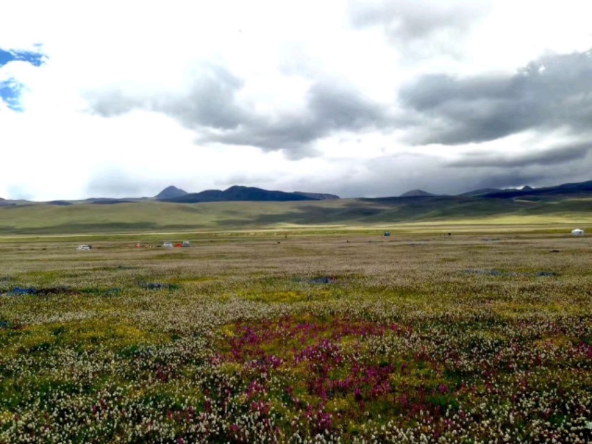 成都到林芝沿途山峰,从成都到林芝走318线路况如何