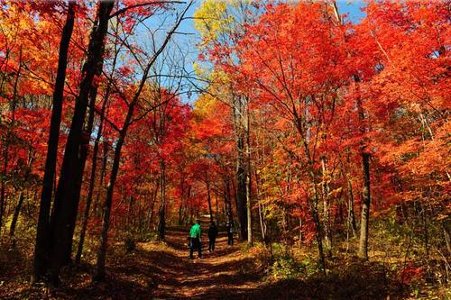 因为疫情而进入战时状态的舒兰市是怎样的一座城市？