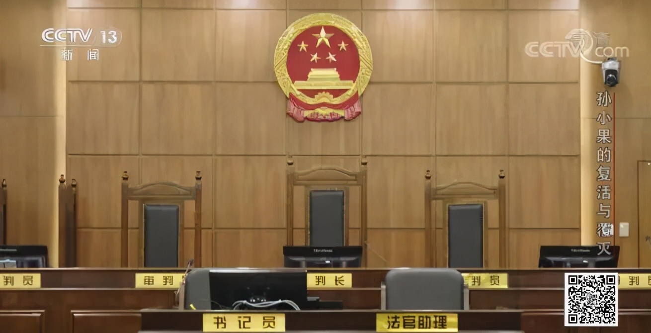 社会与法孙小果,社会评论孙小果