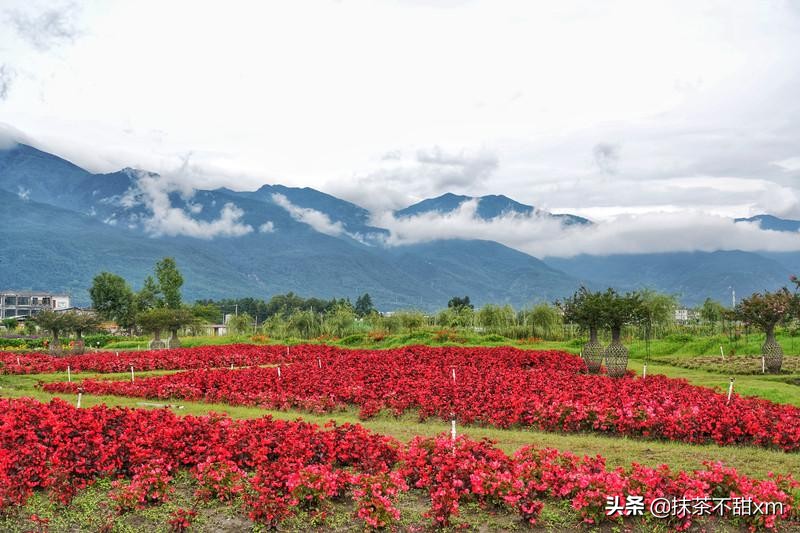 云南旅游自由行攻略昆明大理丽江,云南大理丽江旅游攻略6天5晚