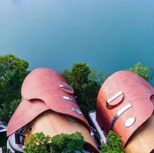 神盘麓湖生态城,麓湖生态城中国神盘