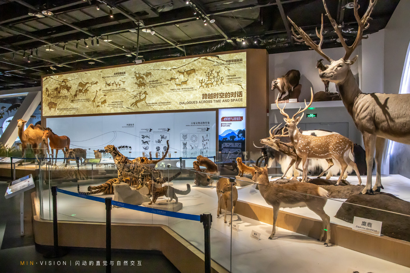 来成都旅游这份攻略实用又好吃,来成都必去必吃的地方