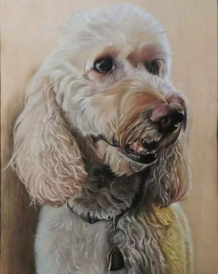 3d超写实彩铅画,超写实彩铅手绘细腻的让人咋舌