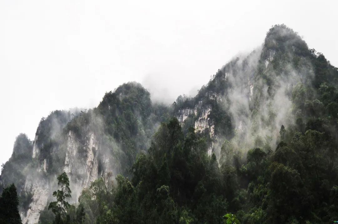 重庆避暑黑山谷,重庆万盛黑山谷生态旅游区