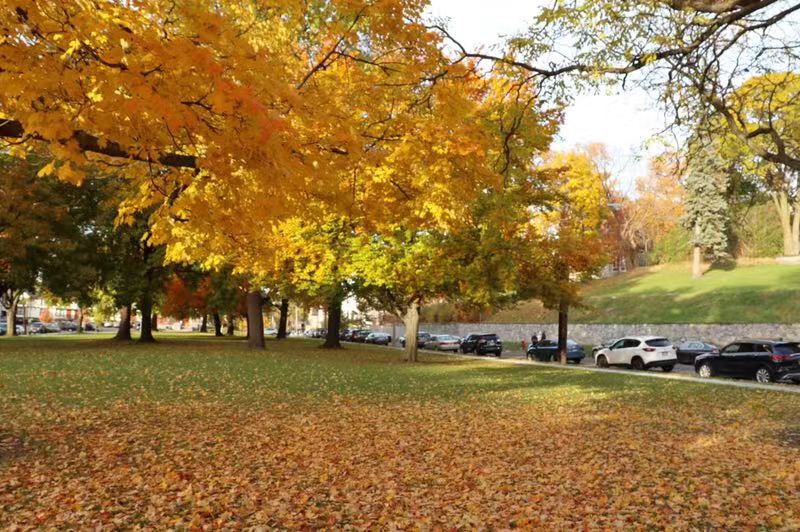 世界排名领先，弗吉尼亚大学到底有多厉害？