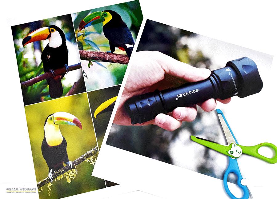 儿童画科学幻想画作画步骤与方法,儿童画教程森林探秘