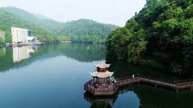 崇义有哪些景点,崇义县风景图片大全