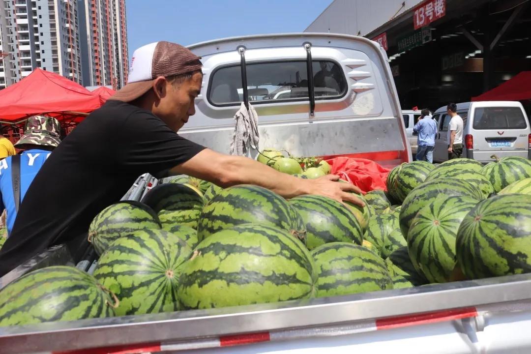 西瓜价格上涨原因,现在西瓜批发价格哪里最便宜