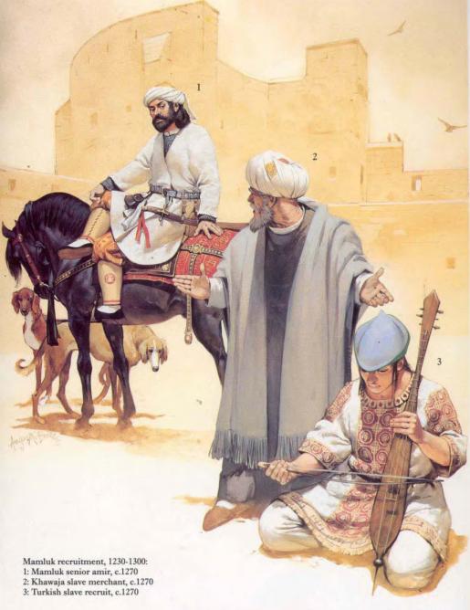 想像龙妈一样买支*队军**？六个美貌*奴女**才换一个战士，你准备好了吗