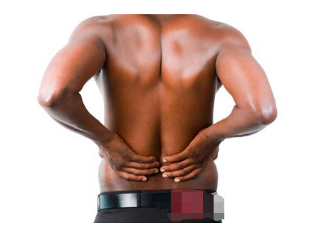 男人强身健体秘方,男人补肾补气的最佳食补