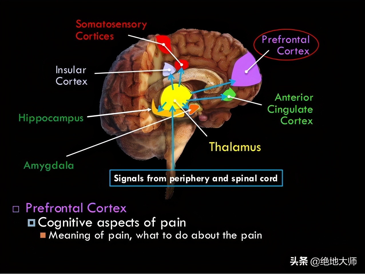 慢性神经痛能治疗好吗,慢性疼痛与心理作用