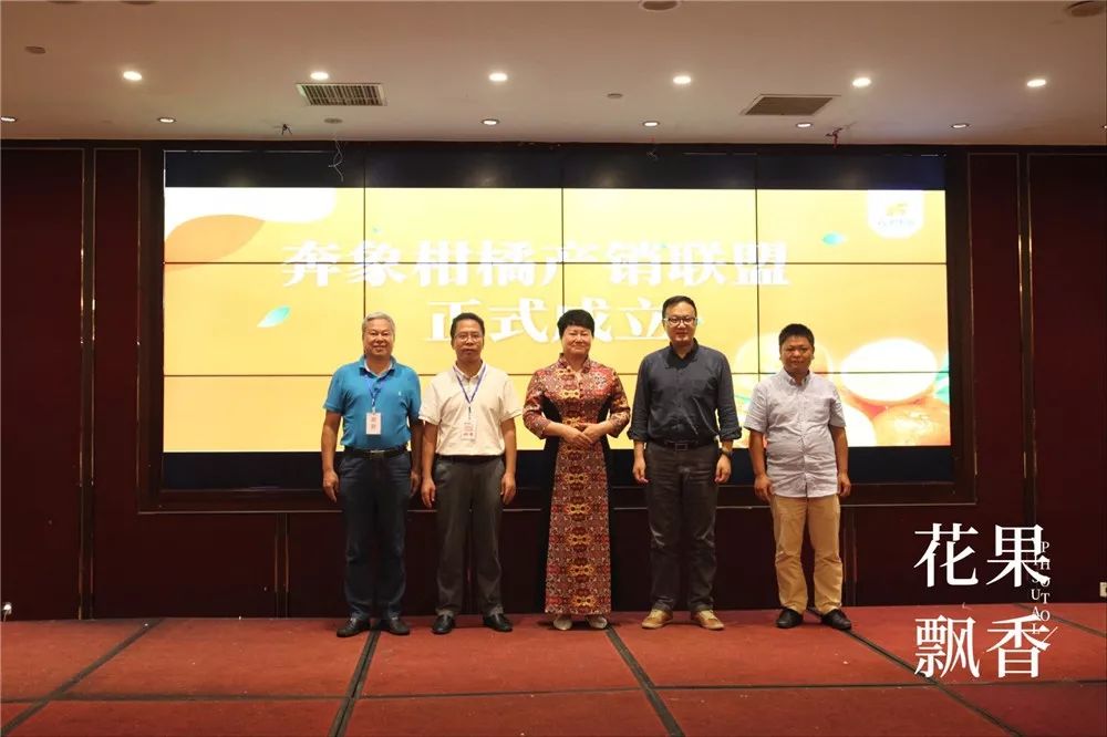 推车卖水果怎么卖好挣钱,上半年卖什么水果赚钱