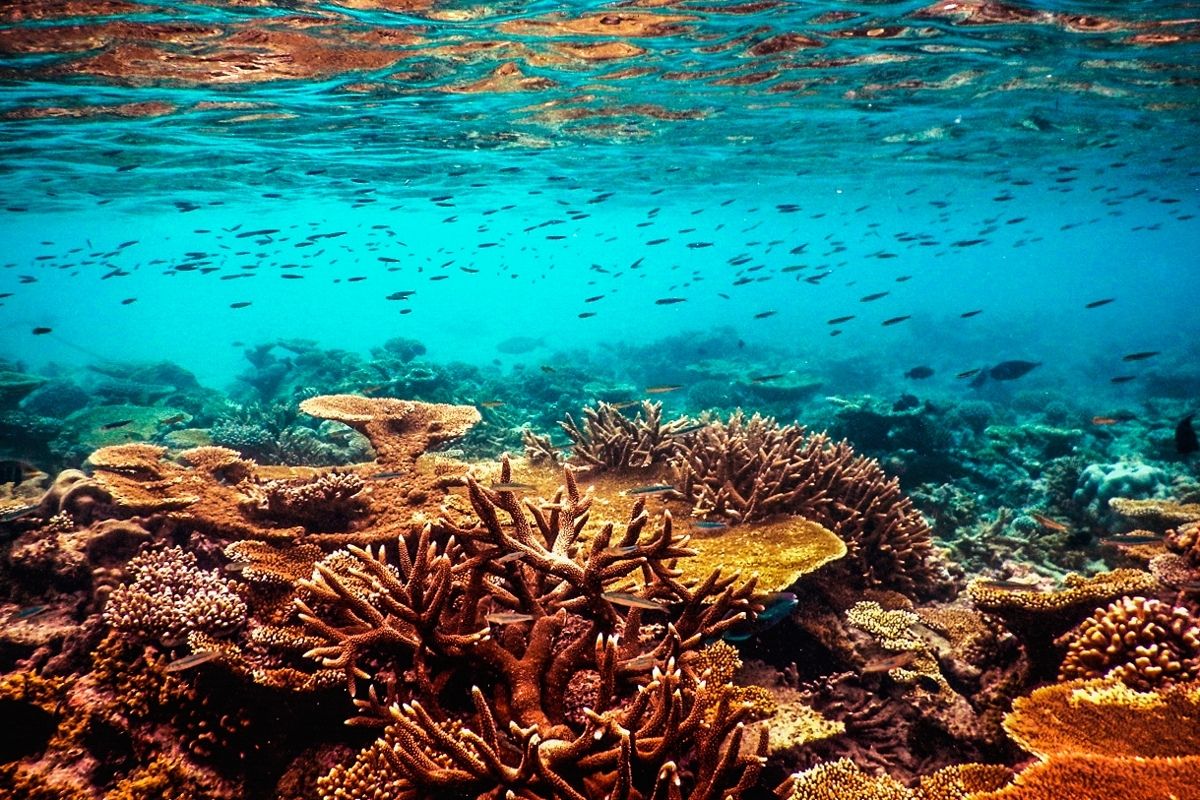 马尔代夫一个宁静的小国,马尔代夫群岛面积