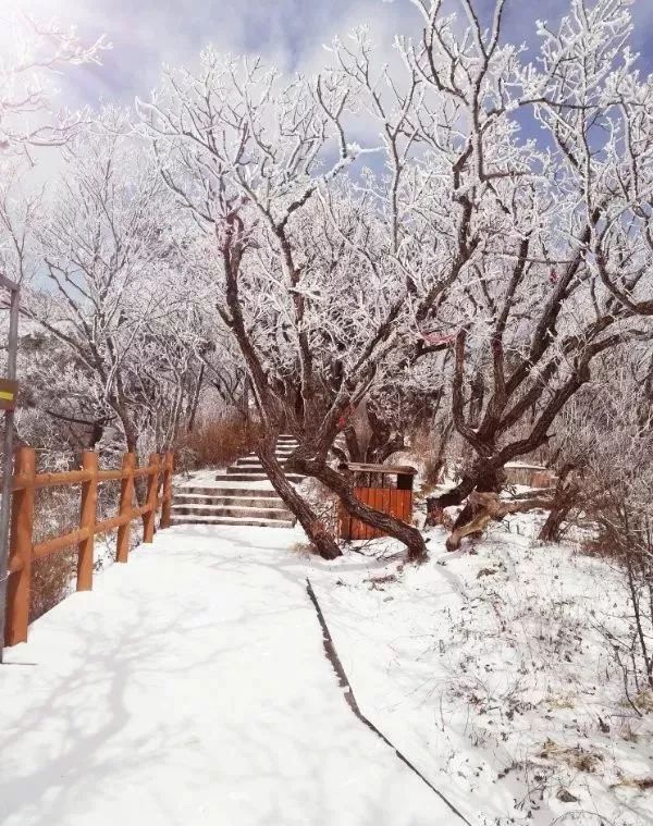 西安冬季周边一日游的绝佳去处,西安冬天适合带孩子玩的地方
