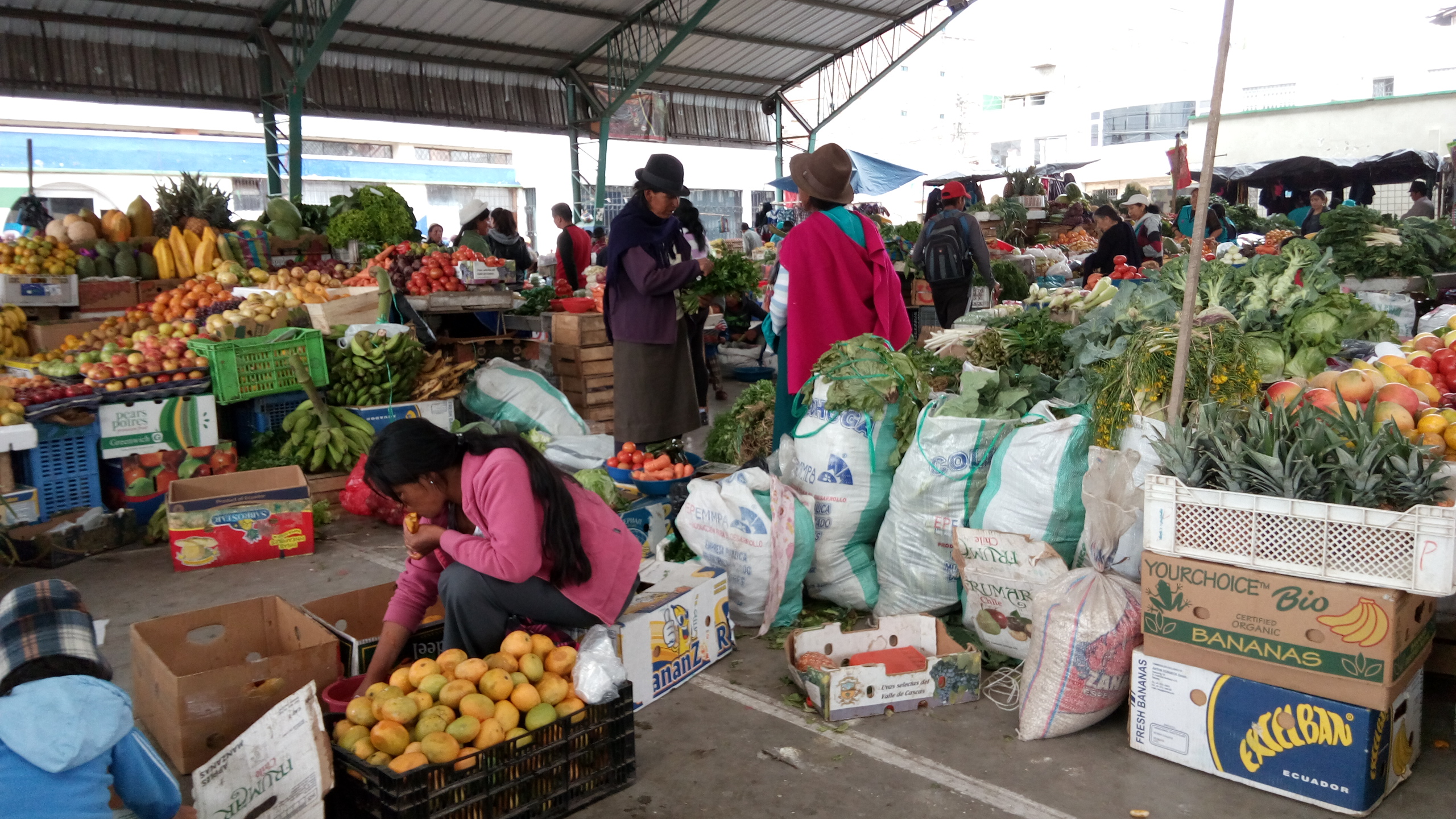 那年我在南美洲厄瓜多尔逛农贸市场，看到蔬果是按只按堆按袋计价