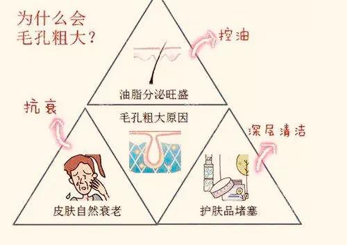 毛孔清洁小常识大全,毛孔深度清洁的步骤