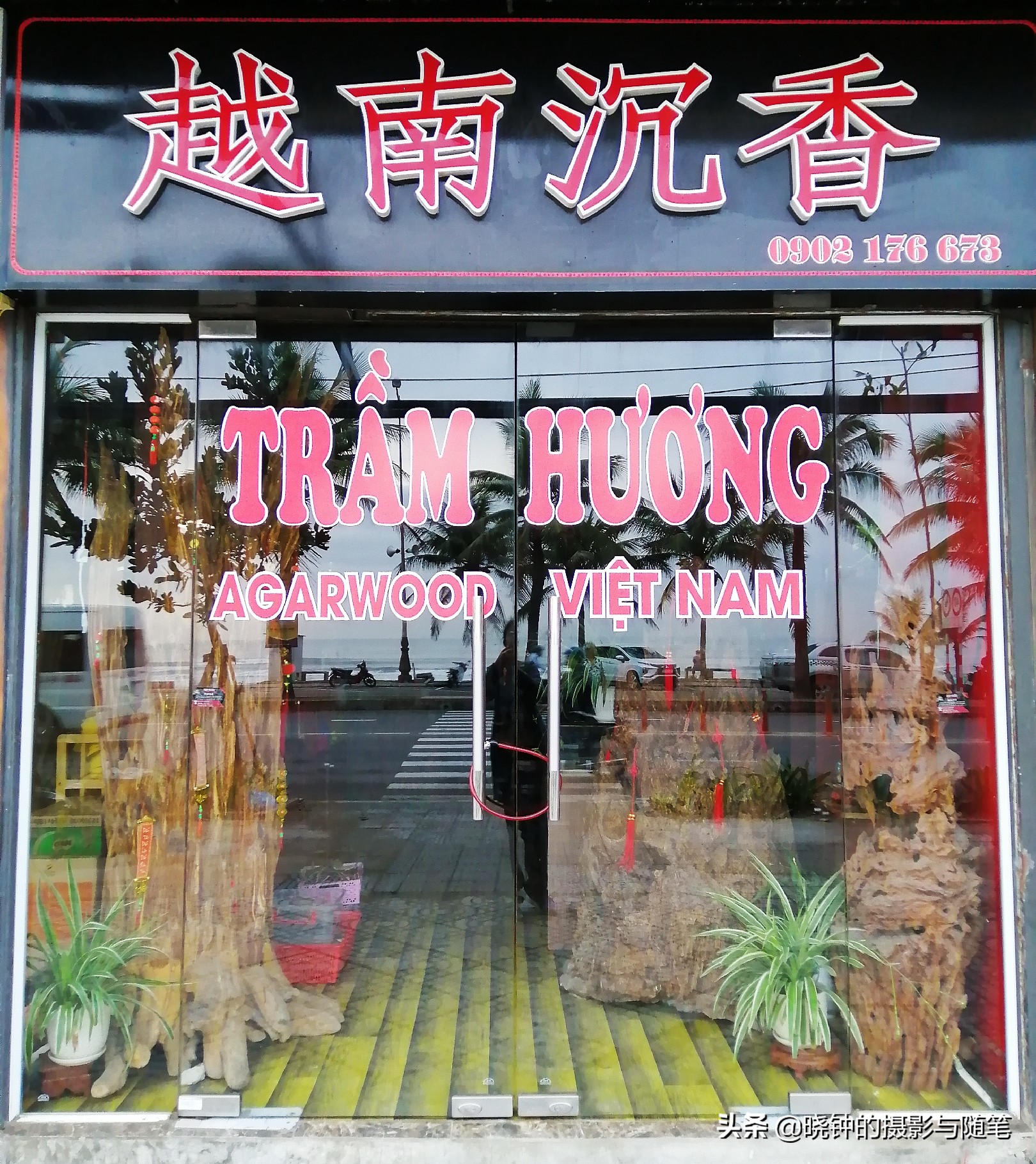 到越南有什么特产,越南岘港特产腰果