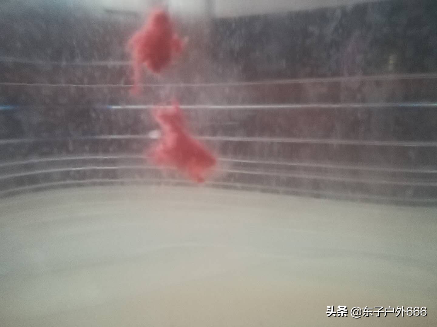 “不空军”鱼饵真的能够不空军吗？看看这些你就明白了