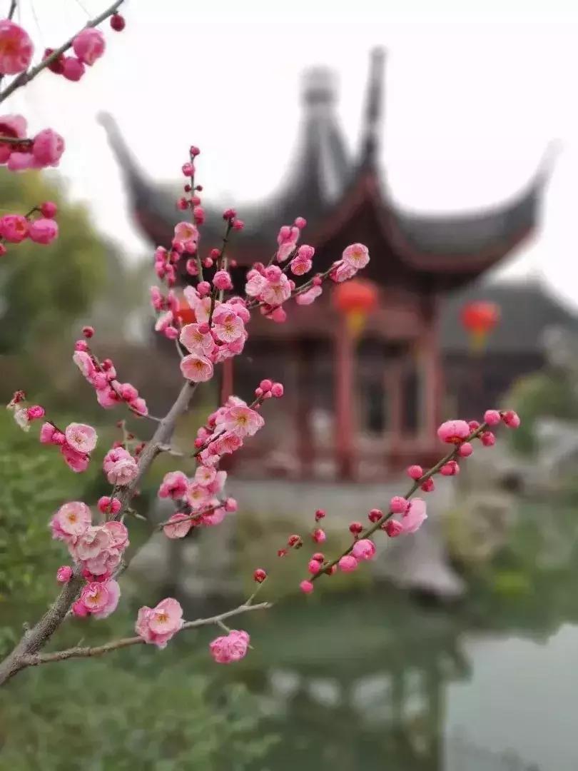 手机摄影入门手机如何拍出好照片,照片怎么拍才好看手机拍摄技巧