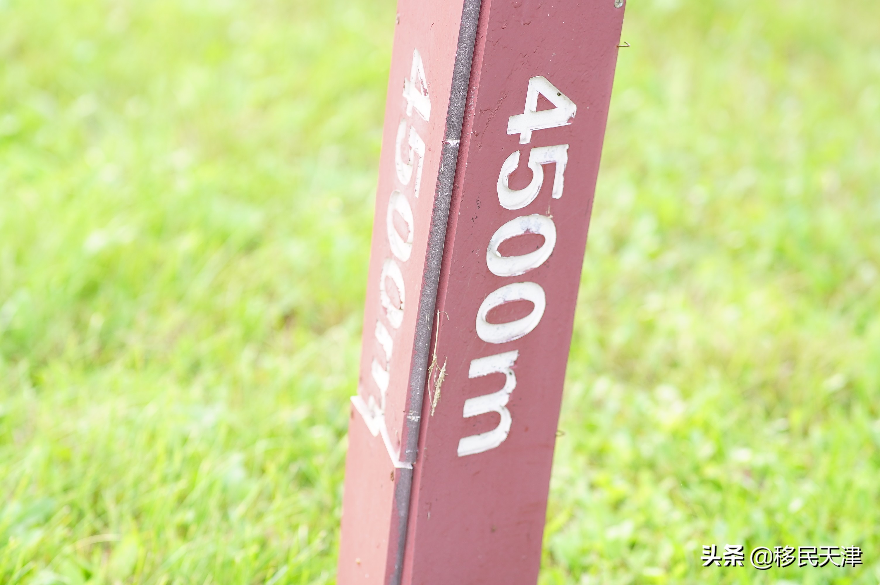 天津武清区最新买房政策,武清南湖房价下跌最惨一览表