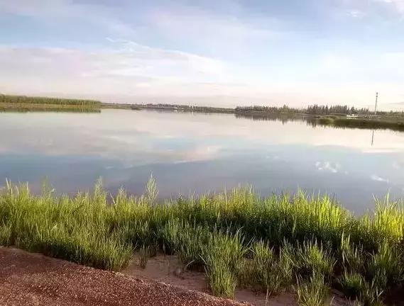 美不美看山水的视频,美不美看河水