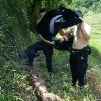 警犬执行任务牺牲训导员赶到哭了,功勋警犬山地奔袭3小时中暑晕厥