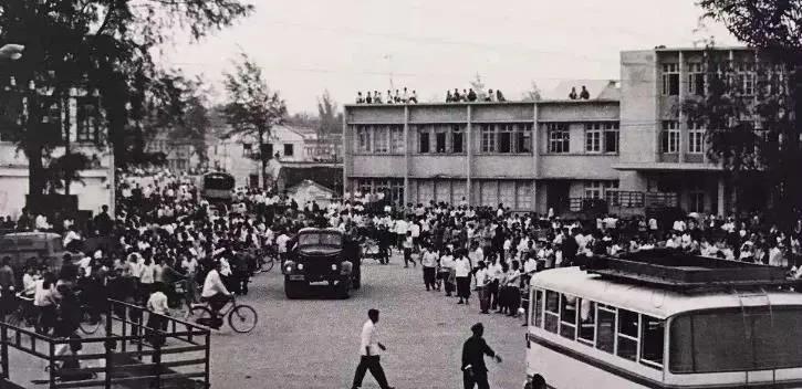 四十年后天堂向右深圳向左,天堂往左深圳往右简介