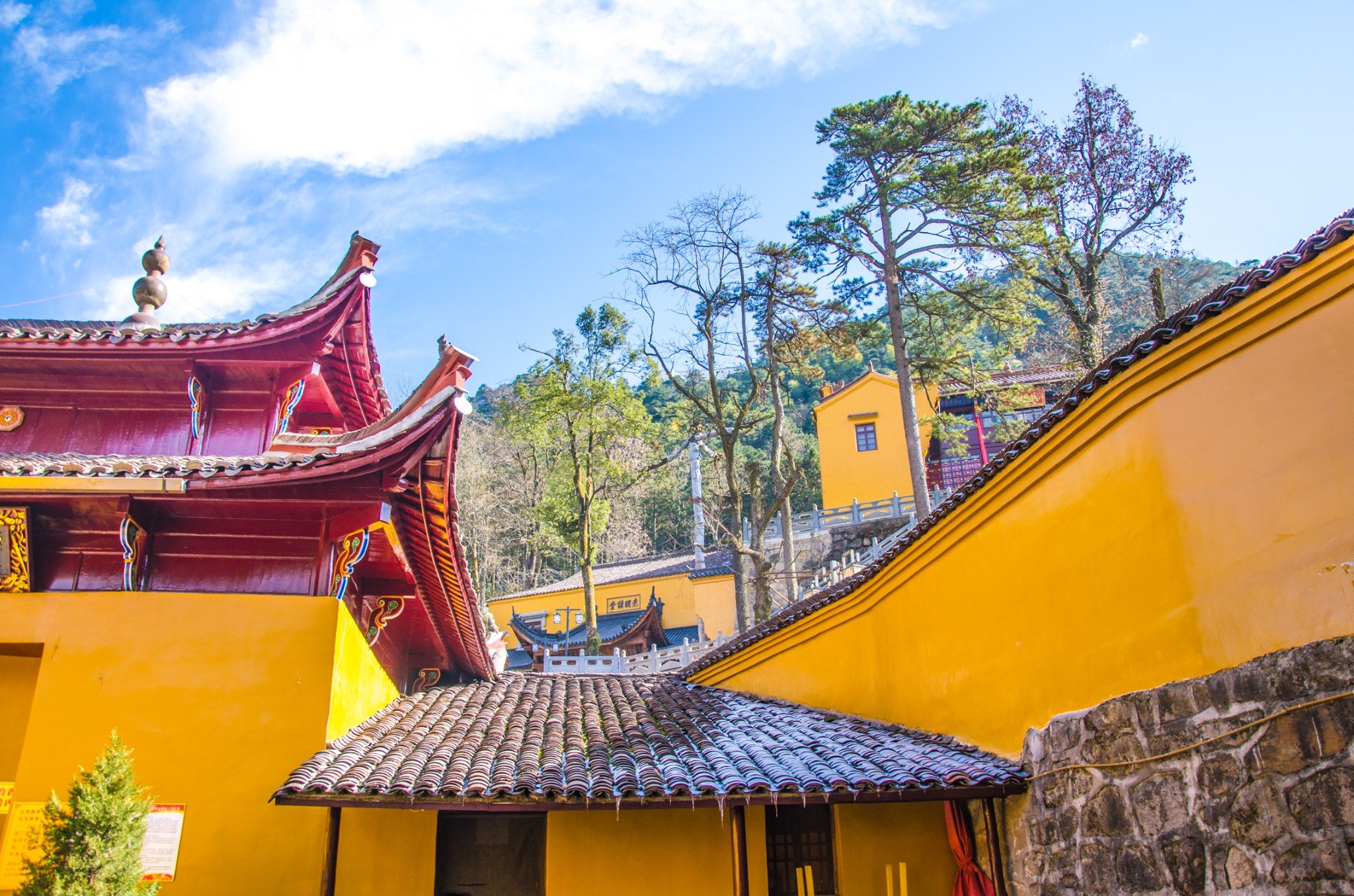 安徽九华山香火最旺盛的寺庙,安徽九华山佛教寺庙