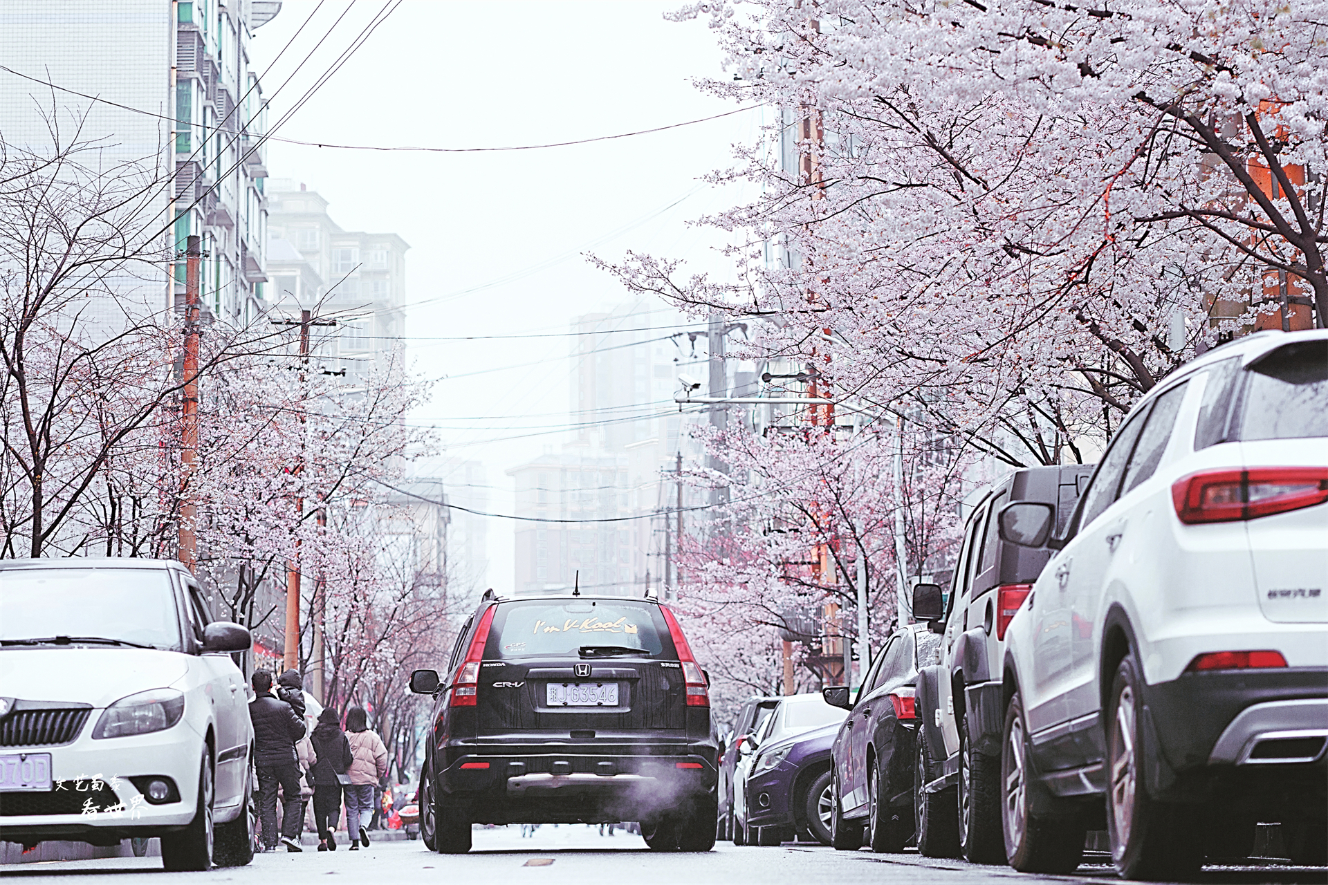 常德市宜居城镇,中国最佳养老宜居城市常德