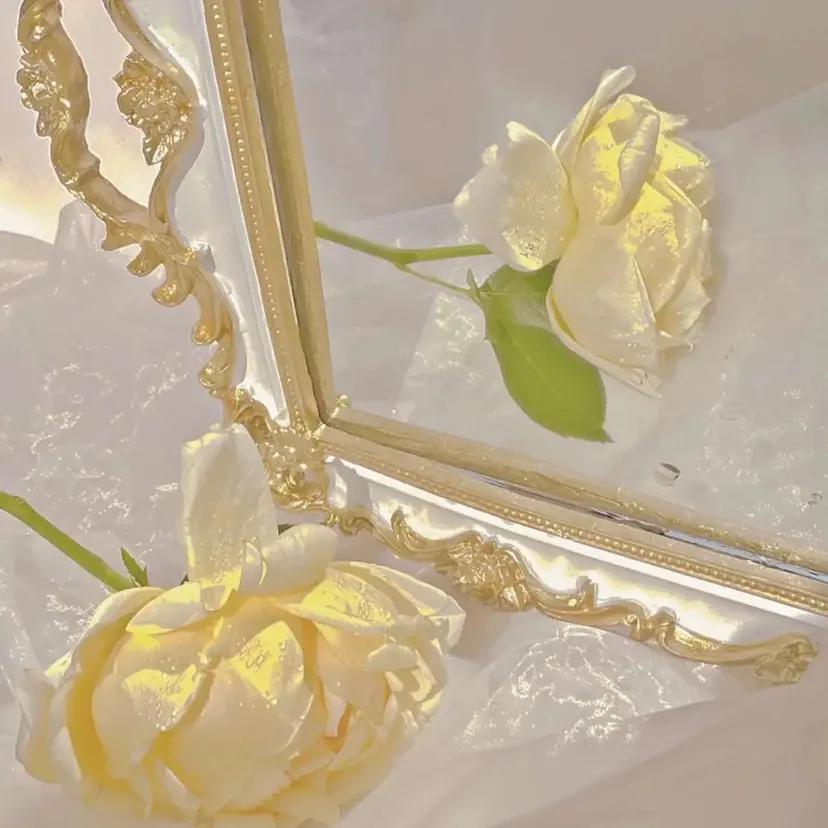 “浪漫黄玫瑰背景：玫瑰配你才浪漫，电影和你才好看”