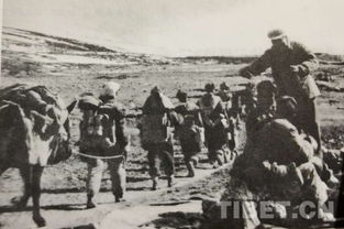 张国华两次拜访,头人答:我别的啥没有,出8000头牦牛怎么样?