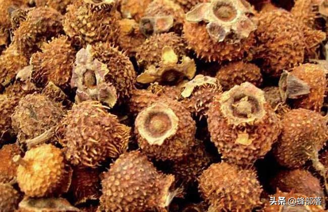 贵州特产刺梨哪个牌子好,贵州刺梨的来历