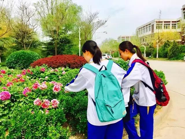 山师附中,山师附中历下区