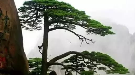 34个省市的文化符号有哪些 (人民日报34个省份文化符号)