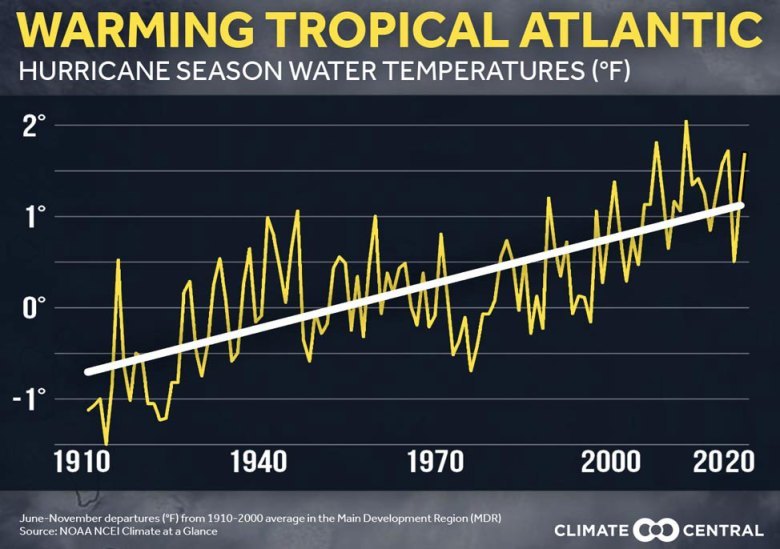 导致第6次生物大灭绝的原因,第6次生物大灭绝人类会消失吗