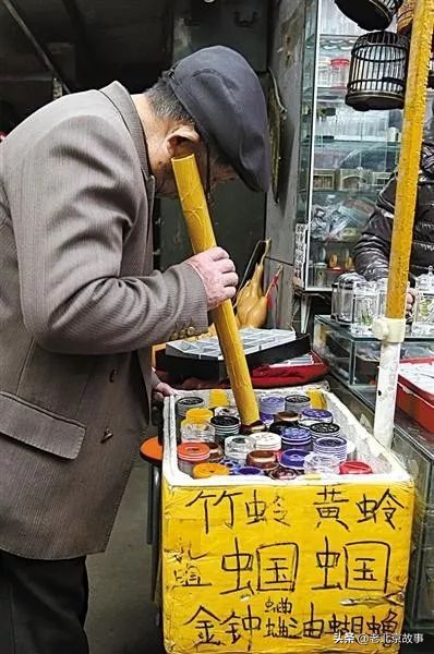 老北京俗语有哪些,老北京有句老话