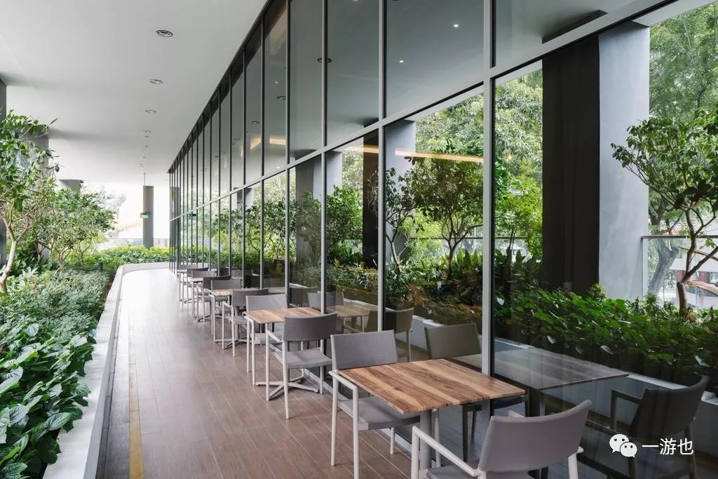 新加坡有十月一日国庆节吗,新加坡十二月去哪里玩