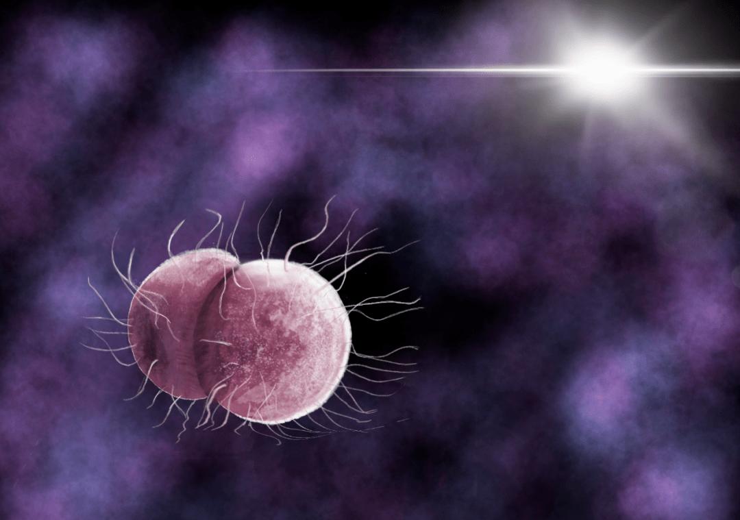 尖锐性湿疣是艾滋病和梅毒吗,尖锐湿疣和梅毒艾滋病有什么关系