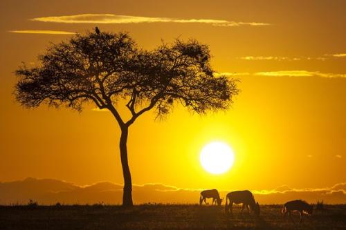 唯美的英语句子翻译,英语唯美句子翻译诗句